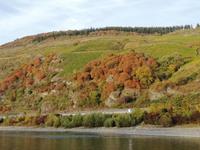 Schifffahrt auf dem Rhein
