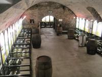 Weinkeller in Kues