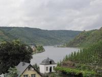 Blick auf die Mosel