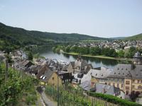 Blick auf die Mosel vom Weinberg