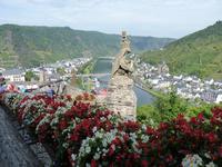 Blick von der Burg auf Cochem