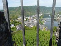 Blick von der Burg auf Cochem