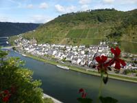 Cochem - Blick ins Moseltal von Reichsburg 