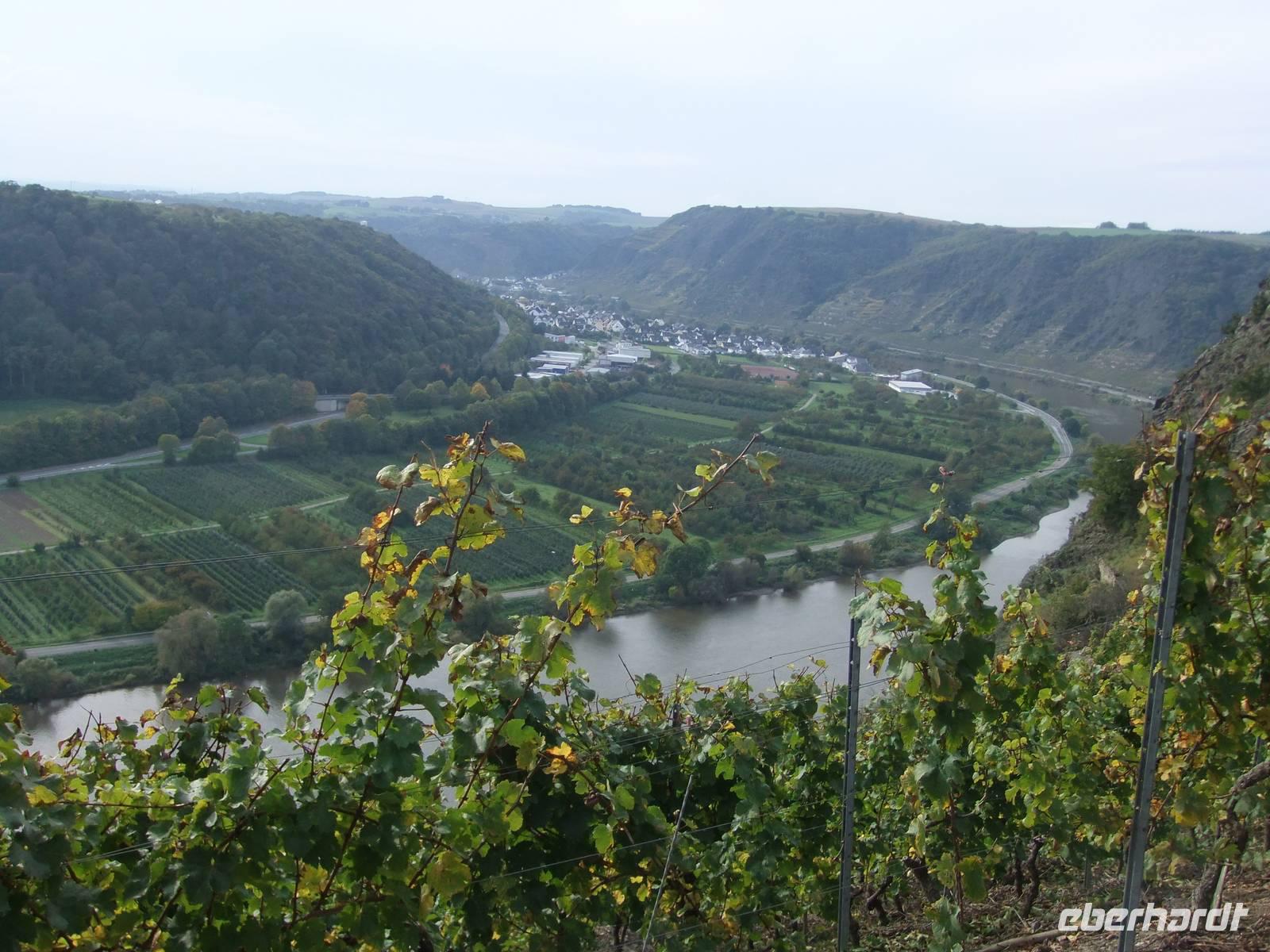 Unser erster Blick auf die Mosel