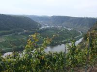Unser erster Blick auf die Mosel