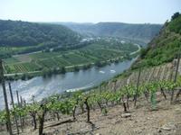 Unser erster Blick auf die Mosel