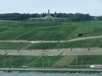 Blick zum Niederwalddenkmal