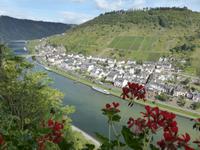 Cochem - Blick ins Moseltal von Reichsburg 