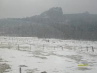 die Bruchhauser Steine