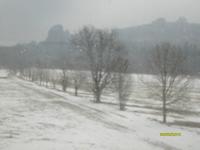 die Bruchhauser Steine