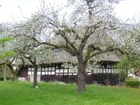 Kürnbach Bauernhaus 2