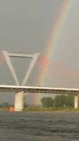 Regenbogen am Rhein