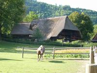 Vogtsbauernhof in Gutach