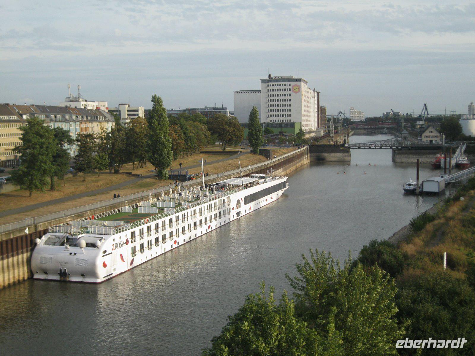 IMG_6625  A - Rosa Liegeplatz Köln Deutz