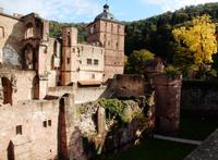 Schloß Heidelberg