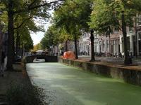 Delft - grüner Kanal
