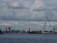 Rotterdam - Hafenrundfahrt, Erasmusbrücke