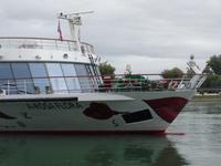 A- ROSA FLORA in Germersheim