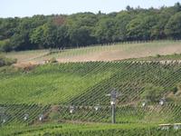 Rüdesheim - Seilbahn hinauf zum Niederwalddenkmal