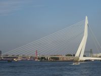 Rotterdam - Erasmus-Brücke