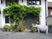 Basel
