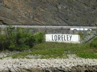Km 555- Lorelei