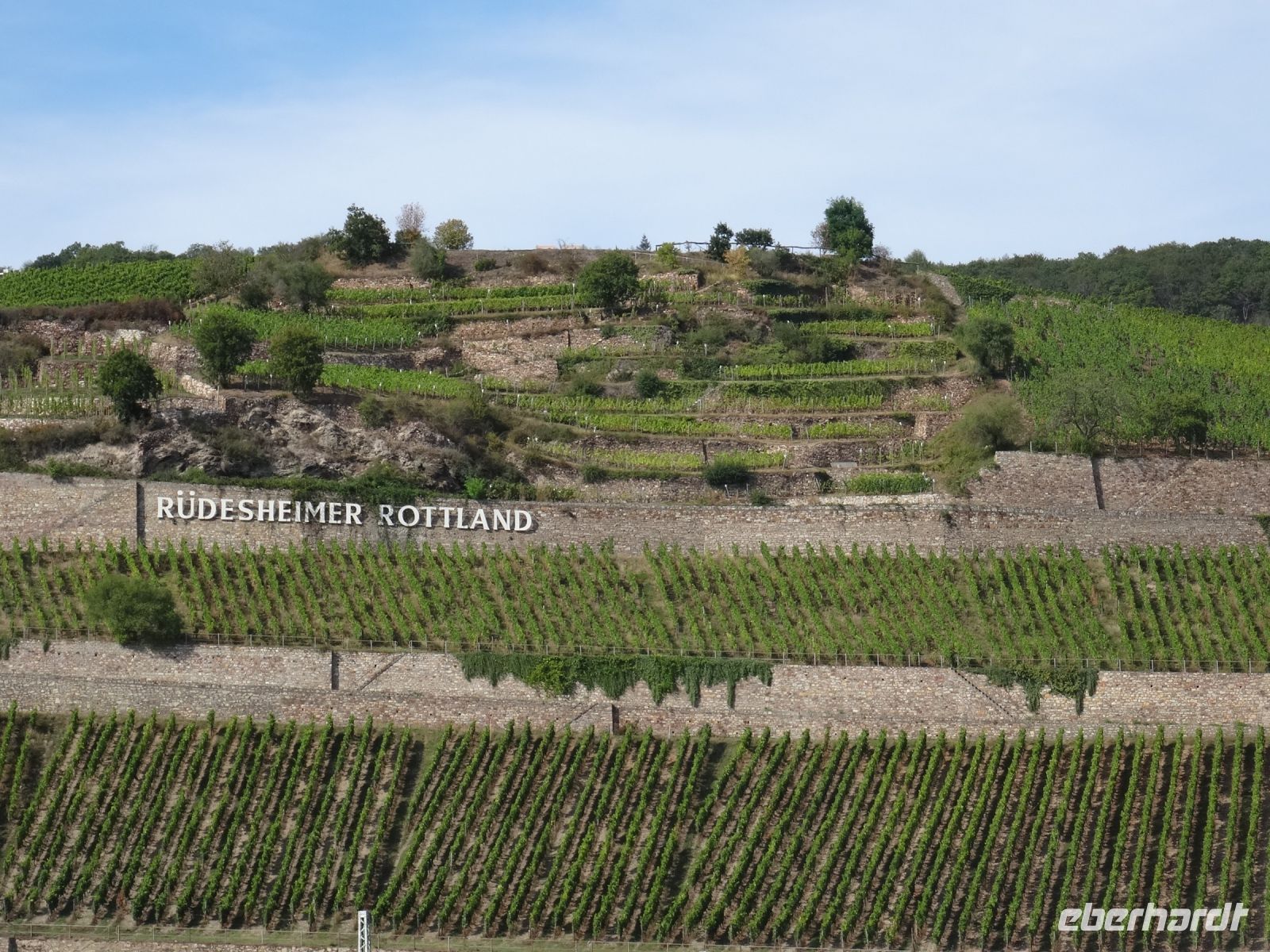Rüdesheim