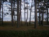 02 Blick zum Strand