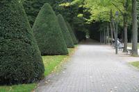 020 Celle - Französischer Garten