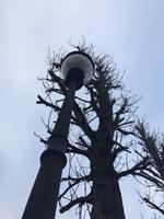 058 Park Sansouci