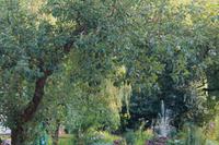 093 Hotelgarten