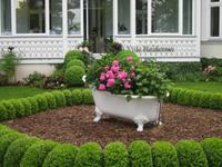 schöne Bepflanzung in Binz