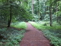 im Naturschutzgebiet Granitz