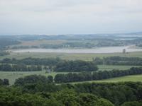 Blick vom Aussichtsturm auf den Selliner See