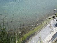 Blick vom Hochuferweg im Nationalpark Jasmund
