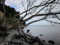 am Strand vor Sassnitz