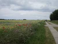 auf dem Hochuferweg nach Kap Arkona