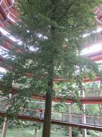 Naturerbezentrum Prora