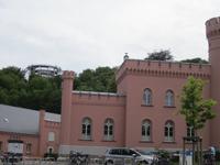 Naturerbezentrum Prora mit Adlerhorst im Hintergrund