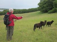 auf dem Wanderweg in Thiessow