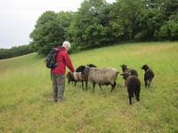 auf dem Wanderweg in Thiessow