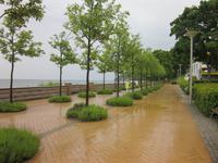 Bernsteinpromenade in Göhren