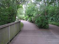 wunderschöne Promenade am Schmachter See von Binz