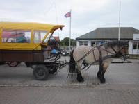 Pferdekutsche in Vitte