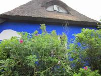 die Blaue Scheune auf Hiddensee