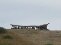 Tausendfüssler auf dem Dornbusch Insel Hiddensee