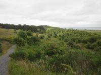 Wanderweg im Dornbusch nach Grieben - Insel Hiddensee