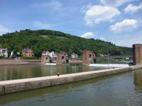 Neckar_Heidelberg (1)