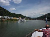 Neckar_Heidelberg (2)