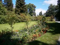 Der erste Schnappschuß auf der Insel Mainau